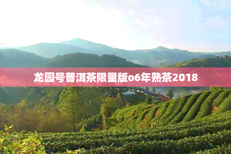 龙园号普洱茶限量版o6年熟茶2018