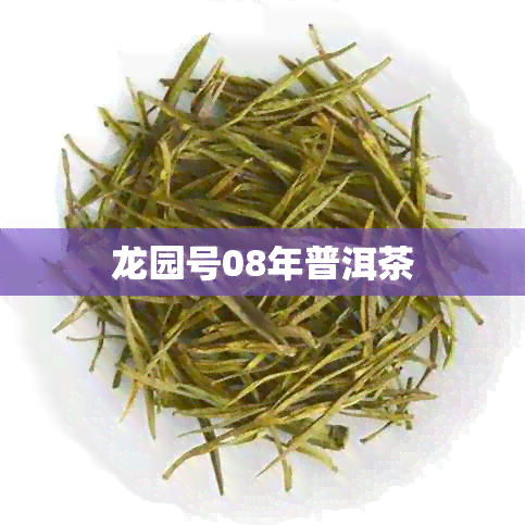 龙园号08年普洱茶