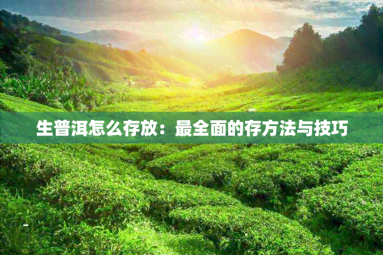 生普洱怎么存放：最全面的存方法与技巧