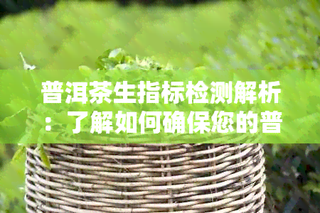 普洱茶生指标检测解析：了解如何确保您的普洱茶安全无