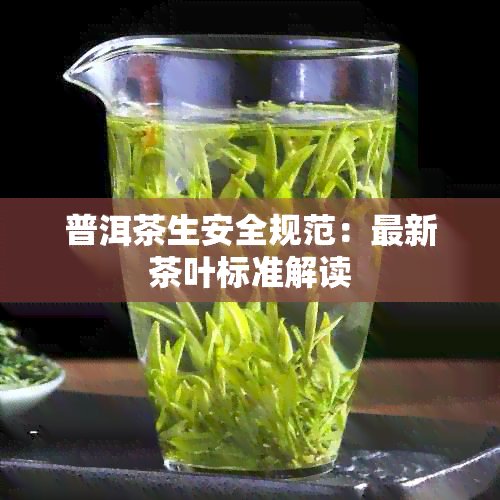 普洱茶生安全规范：最新茶叶标准解读