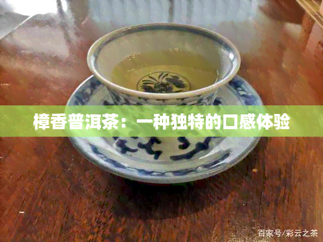 樟香普洱茶：一种独特的口感体验