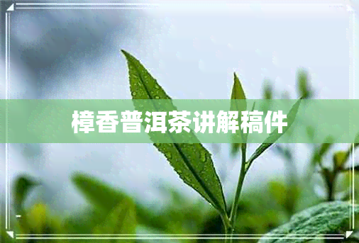 樟香普洱茶讲解稿件