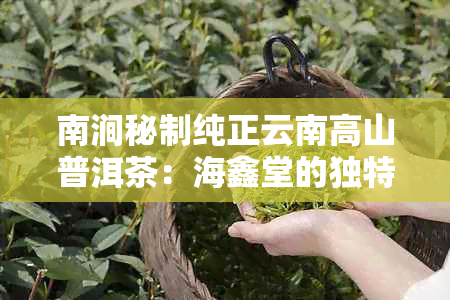 南涧秘制纯正云南高山普洱茶：海鑫堂的独特品味