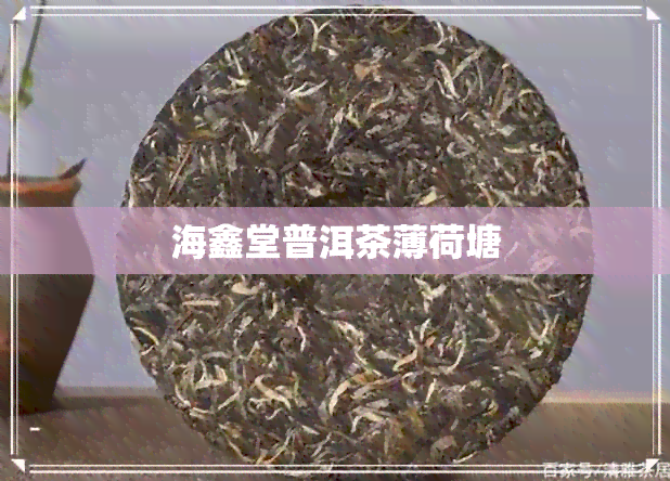 海鑫堂普洱茶薄荷塘