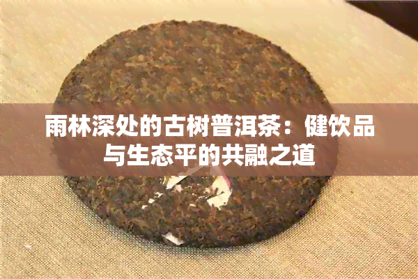 雨林深处的古树普洱茶：健饮品与生态平的共融之道