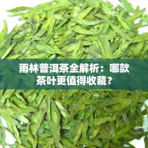 雨林普洱茶全解析：哪款茶叶更值得收藏？