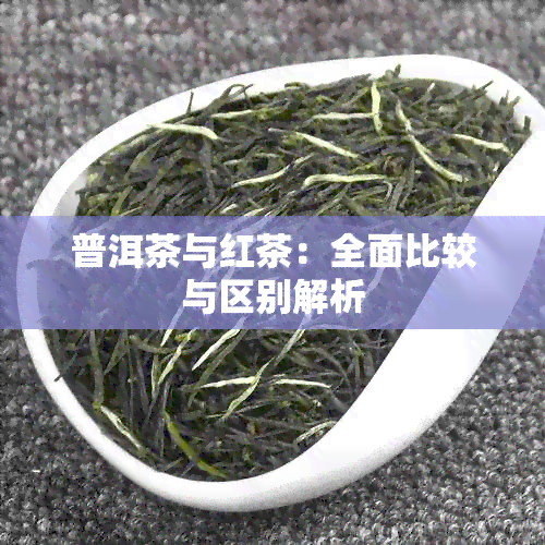 普洱茶与红茶：全面比较与区别解析