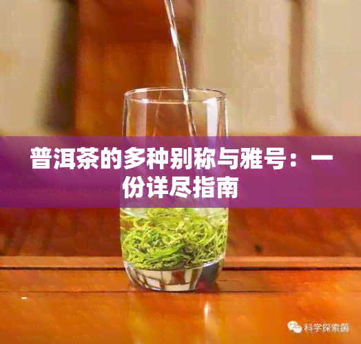 普洱茶的多种别称与雅号：一份详尽指南