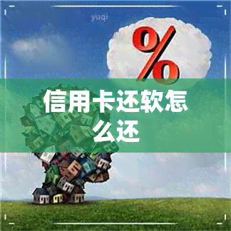 信用卡还软怎么还