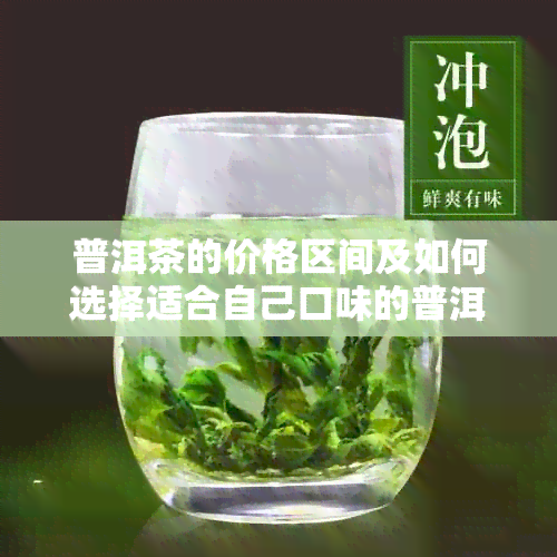 普洱茶的价格区间及如何选择适合自己口味的普洱茶