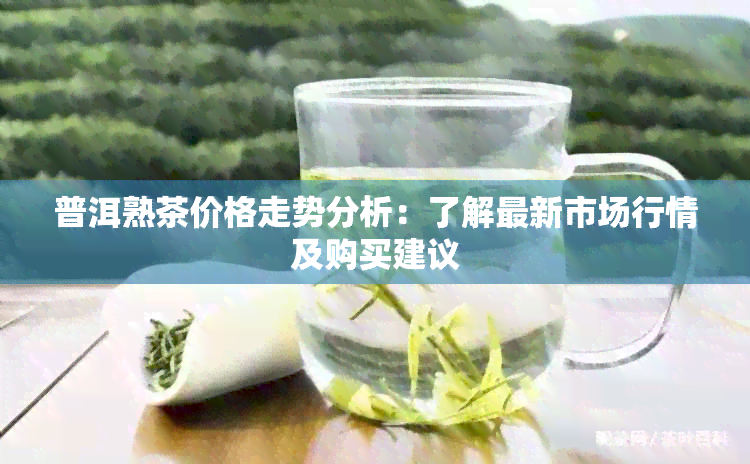 普洱熟茶价格走势分析：了解最新市场行情及购买建议