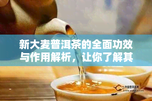 新大麦普洱茶的全面功效与作用解析，让你了解其所有益处