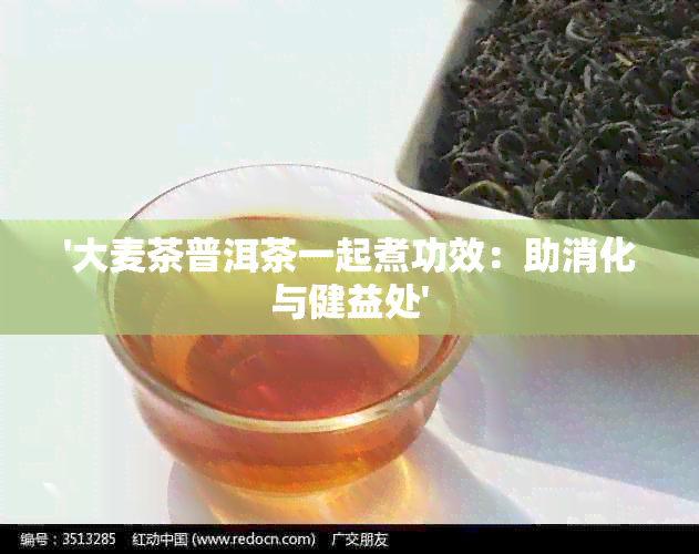 '大麦茶普洱茶一起煮功效：助消化与健益处'