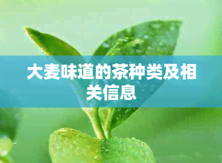 大麦味道的茶种类及相关信息