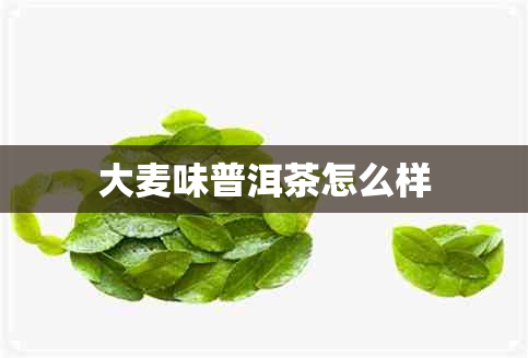 大麦味普洱茶怎么样