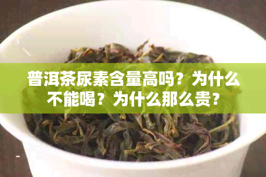 普洱茶尿素含量高吗？为什么不能喝？为什么那么贵？