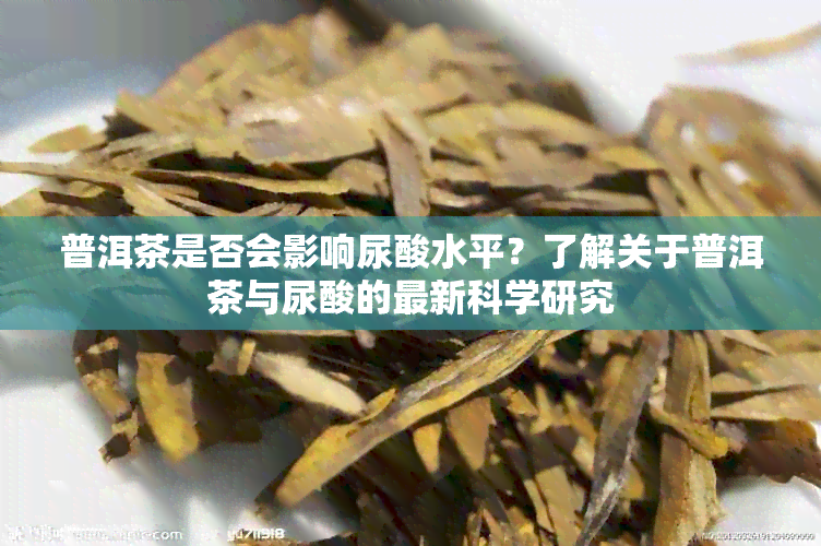 普洱茶是否会影响尿酸水平？了解关于普洱茶与尿酸的最新科学研究