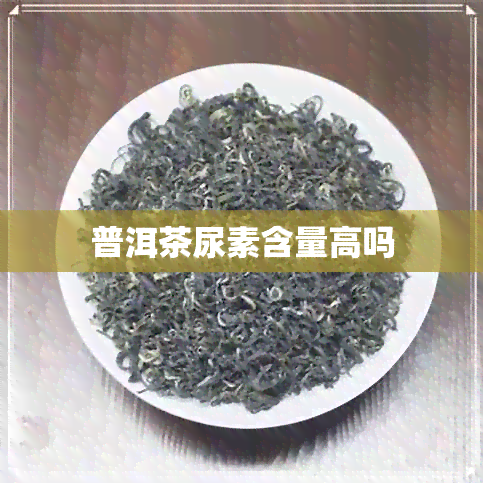 普洱茶尿素含量高吗