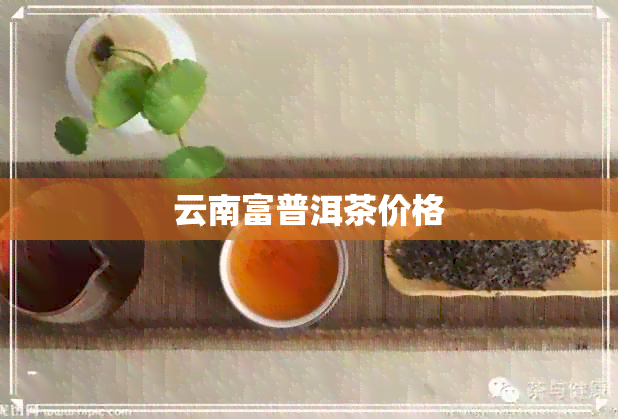 云南富普洱茶价格