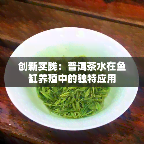 创新实践：普洱茶水在缸养殖中的独特应用