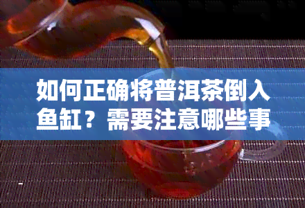 如何正确将普洱茶倒入缸？需要注意哪些事项？