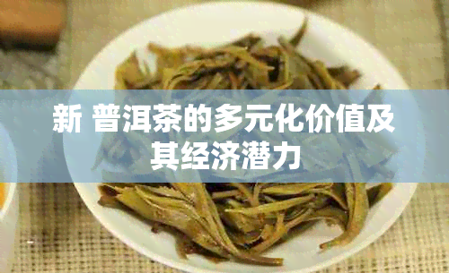 新 普洱茶的多元化价值及其经济潜力