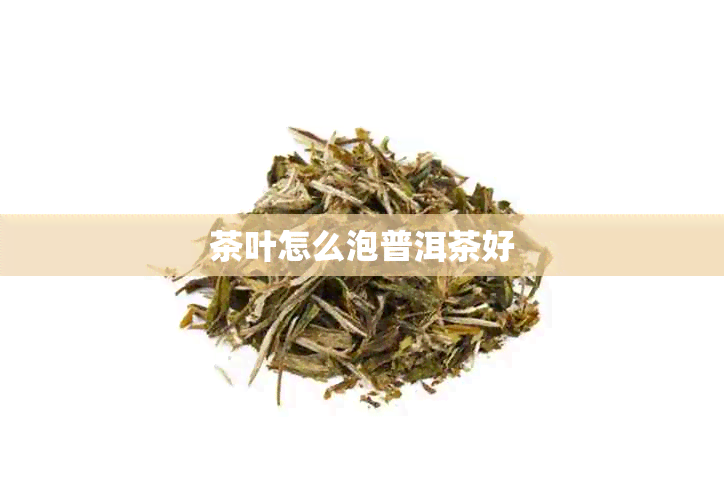 茶叶怎么泡普洱茶好