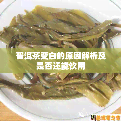 普洱茶变白的原因解析及是否还能饮用