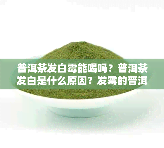 普洱茶发白霉能喝吗？普洱茶发白是什么原因？发霉的普洱茶还能喝吗？