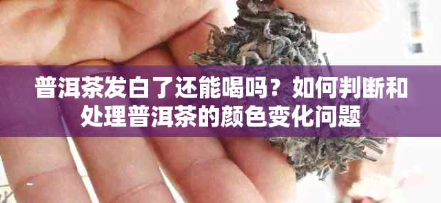 普洱茶发白了还能喝吗？如何判断和处理普洱茶的颜色变化问题