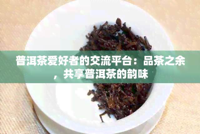 普洱茶爱好者的交流平台：品茶之余，共享普洱茶的韵味