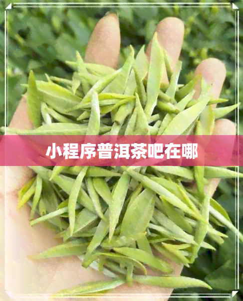 小程序普洱茶吧在哪