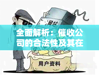 全面解析：公司的合法性及其在现实生活中的作用与影响