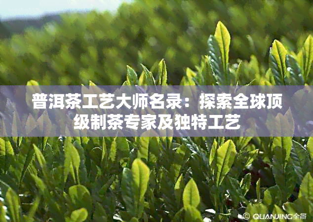 普洱茶工艺大师名录：探索全球顶级制茶专家及独特工艺