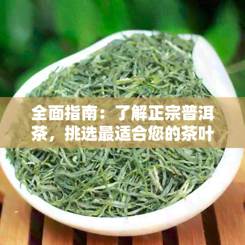 全面指南：了解正宗普洱茶，挑选最适合您的茶叶