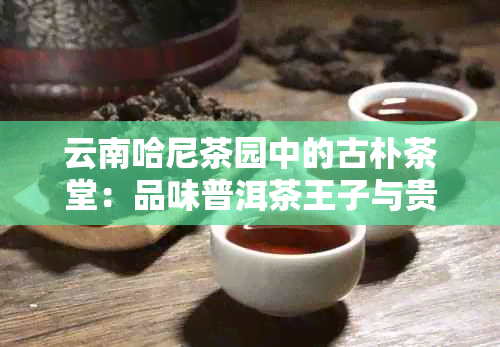 云南哈尼茶园中的古朴茶堂：品味普洱茶王子与贵妇的尊崇之选