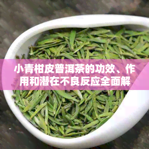 小青柑皮普洱茶的功效、作用和潜在不良反应全面解析