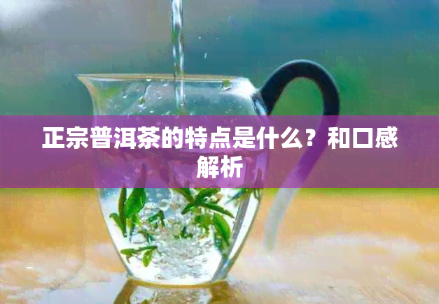 正宗普洱茶的特点是什么？和口感解析