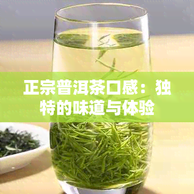 正宗普洱茶口感：独特的味道与体验