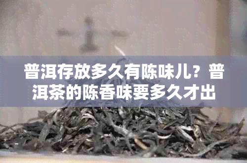 普洱存放多久有陈味儿？普洱茶的陈香味要多久才出现？普洱放多久口感？