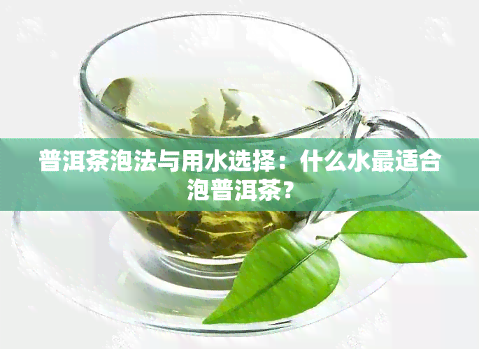 普洱茶泡法与用水选择：什么水最适合泡普洱茶？