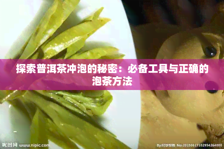 探索普洱茶冲泡的秘密：必备工具与正确的泡茶方法