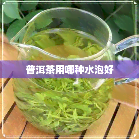 普洱茶用哪种水泡好