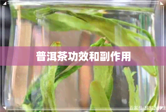 普洱茶功效和副作用