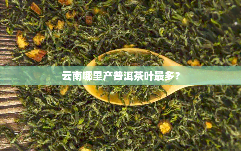 云南哪里产普洱茶叶最多？