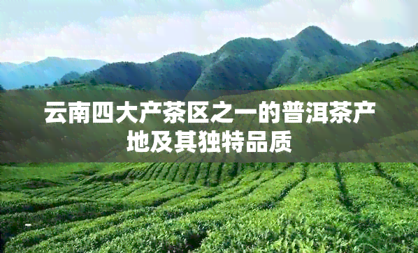 云南四大产茶区之一的普洱茶产地及其独特品质