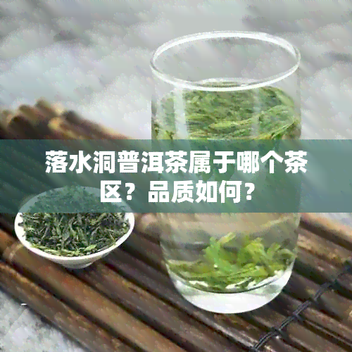 落水洞普洱茶属于哪个茶区？品质如何？