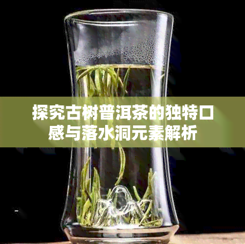 探究古树普洱茶的独特口感与落水洞元素解析