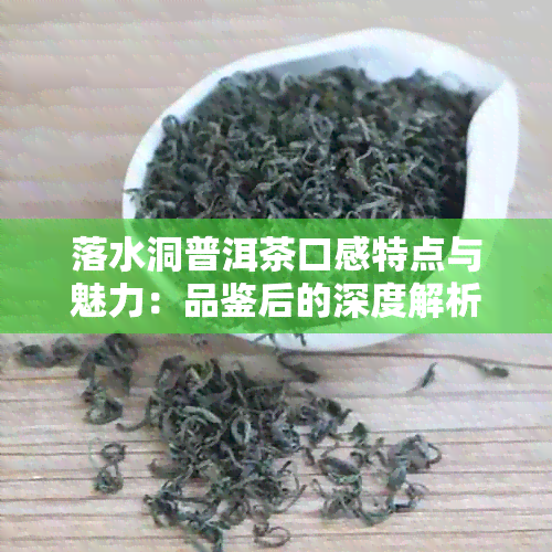 落水洞普洱茶口感特点与魅力：品鉴后的深度解析